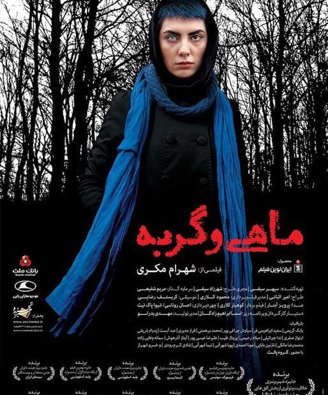 ” ماهى و گربه ” وارد شبكه نمايش خانگى شد